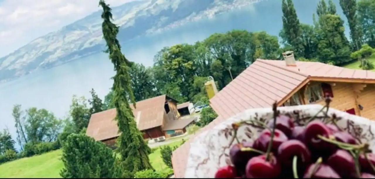 Lakeview Rustic Krattigen Kültér fotó